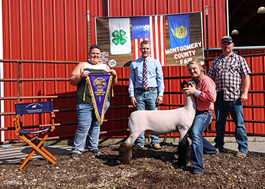 Riecke Club Lambs Winners